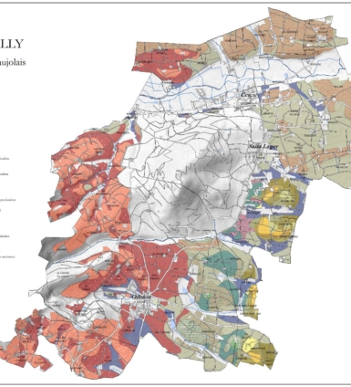 Carte des sols