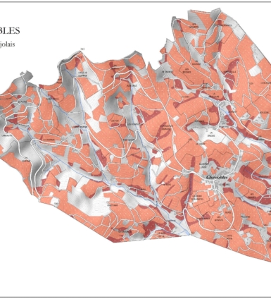 Carte des sols