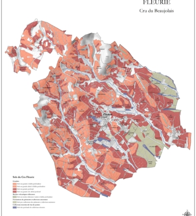 Carte des sols