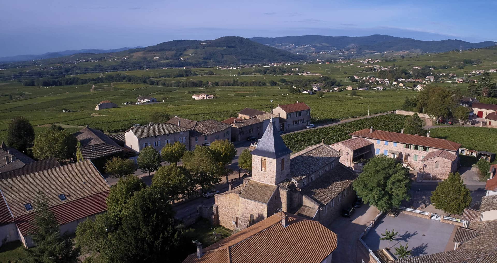 SaintAmour Site Officiel des Vins du Beaujolais