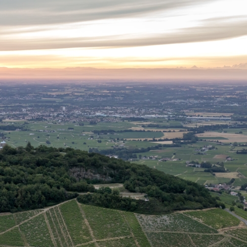 Visit Beaujolais Vineyard