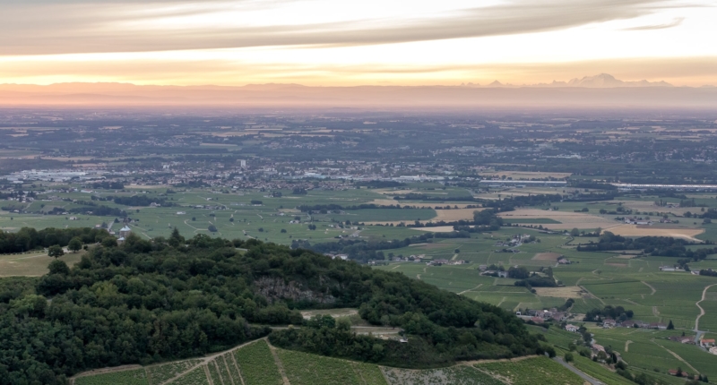 Découvrir le vignoble Beaujolais