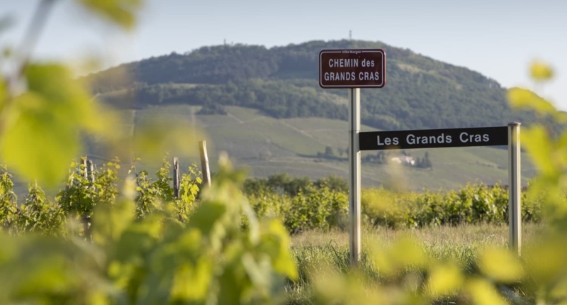 Beaujolais, accessible wines