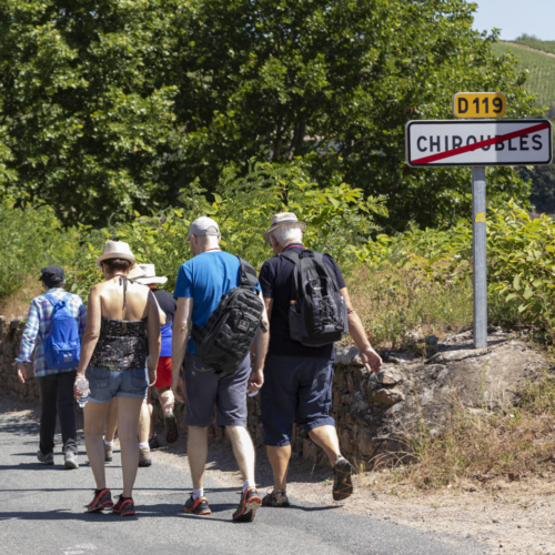 En Beaujolais, marche comme il te plaît !