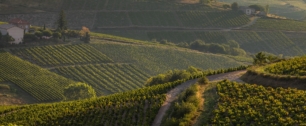 Pur terroir by Beaujolais