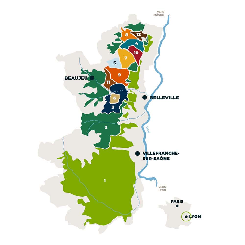 Our 12 Appellations Beaujolais