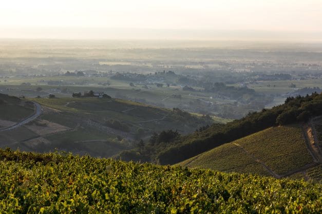 Vue sur les crus du Beaujolais