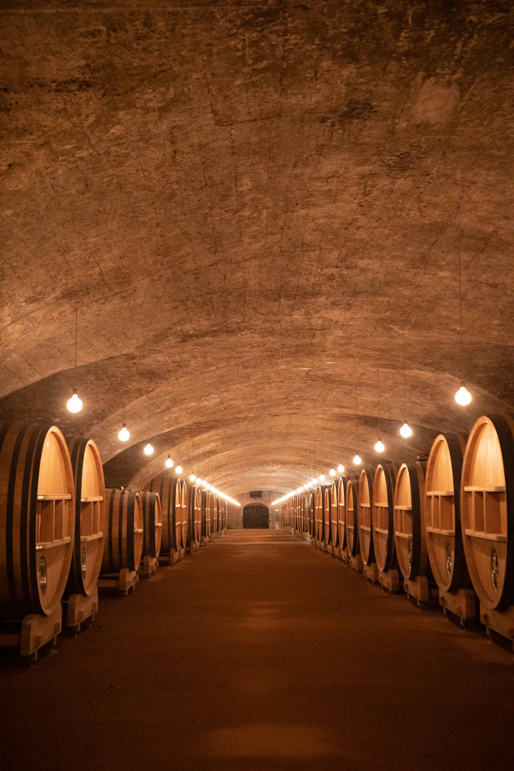 Visite de la cave classée du Château de la Chaize en Beaujolais 