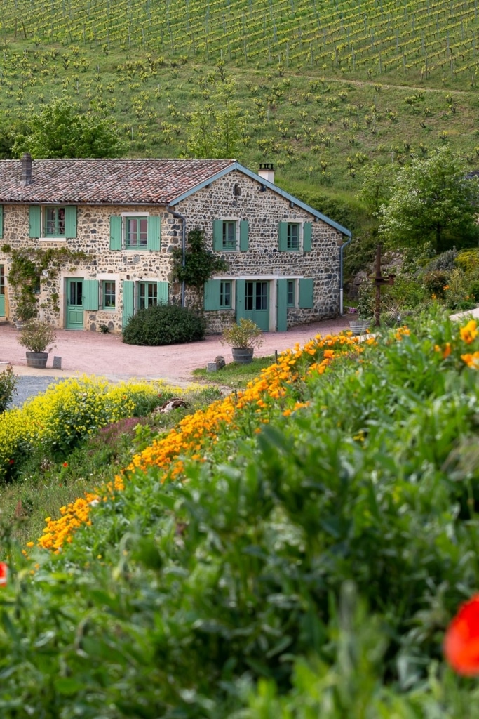 Visite de domaine viticole en Beaujolais