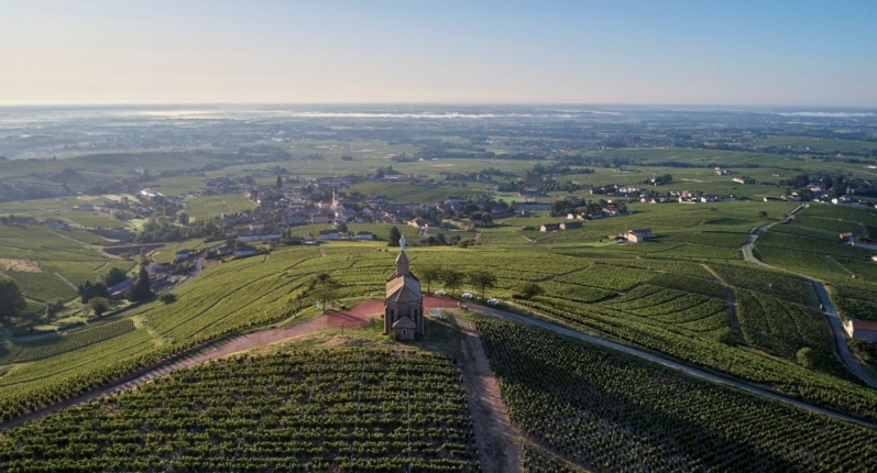 L’appellation Fleurie en route vers les Premiers Crus