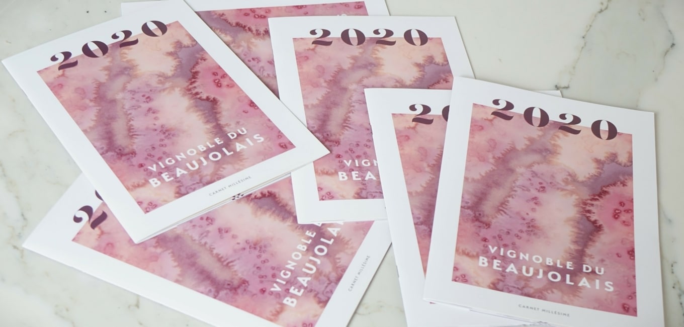 2020 vintage in Beaujolais : the vintage of the decade