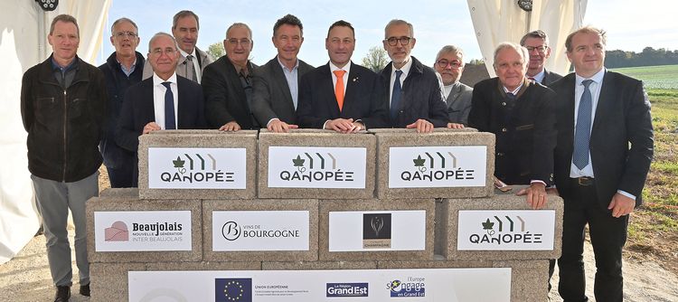 PROJET QANOPEE : trois régions viticoles unies pour sécuriser leurs vignobles !