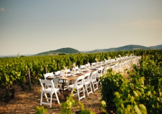 Bienvenue en Beaujonomie, le festival oenogastronomique en Beaujolais