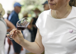 Comment déguster un vin : conseils et astuces d’un expert 