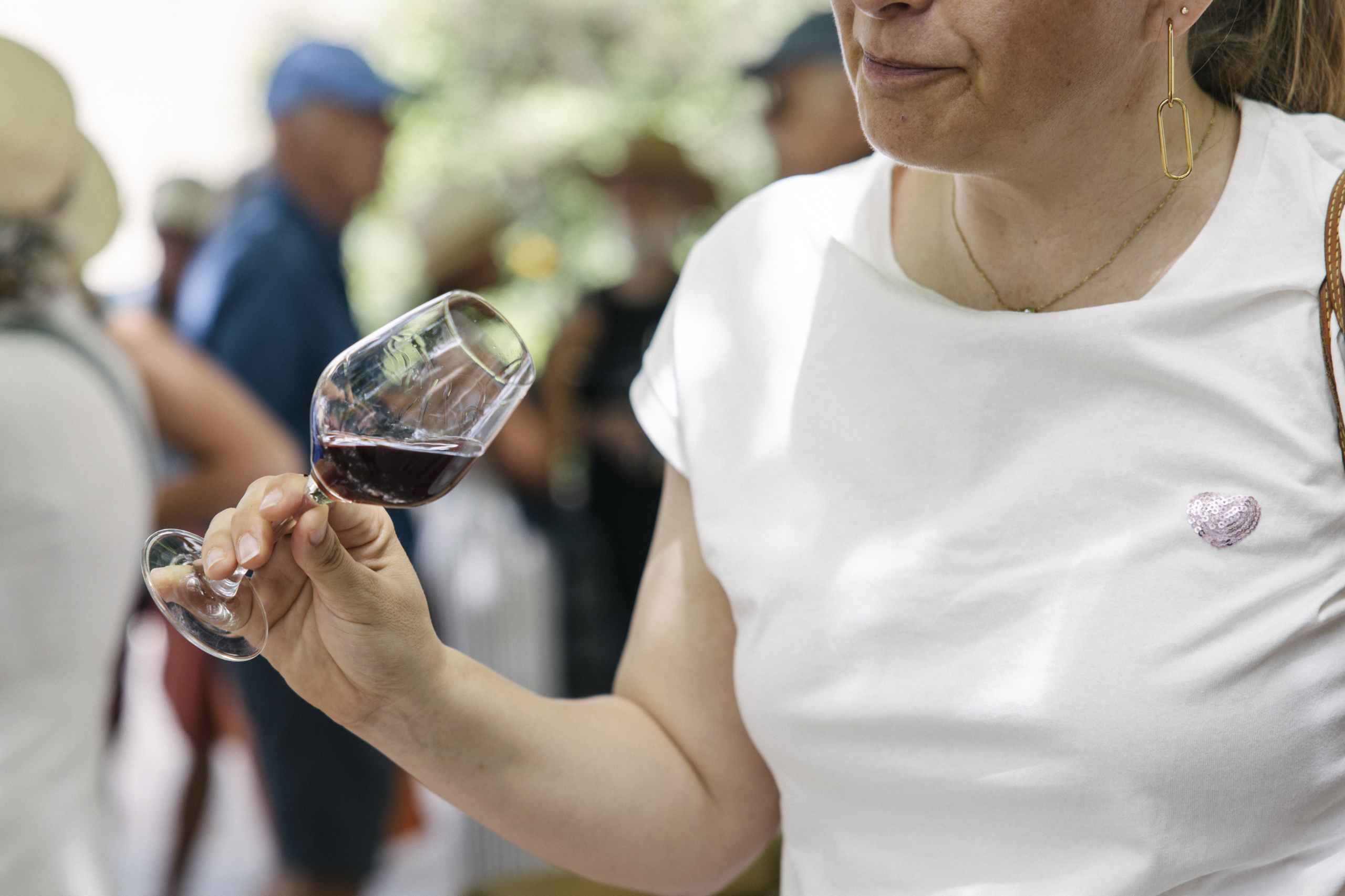 Comment déguster un vin : conseils et astuces d’un expert 