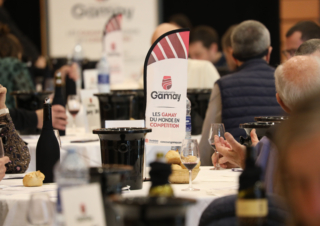 The World’s Best Gamay 2026 is a Morgon
