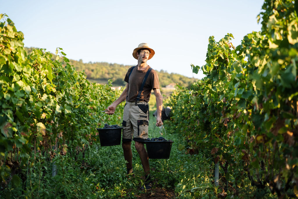Devenir vigneron en Beaujolais : le déclic de Bruno-Marie Mauviel