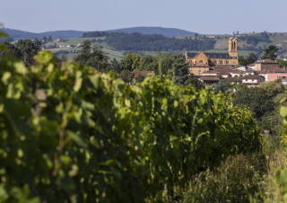 S&rsquo;installer en Beaujolais : Agathe Margotton, enfant du pays