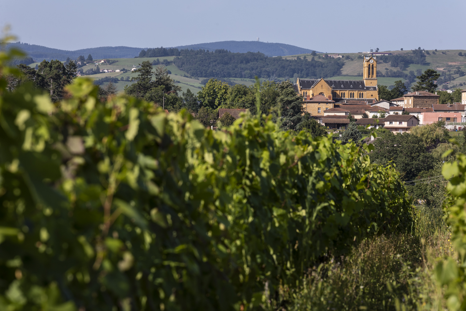 S&rsquo;installer en Beaujolais : Agathe Margotton, enfant du pays