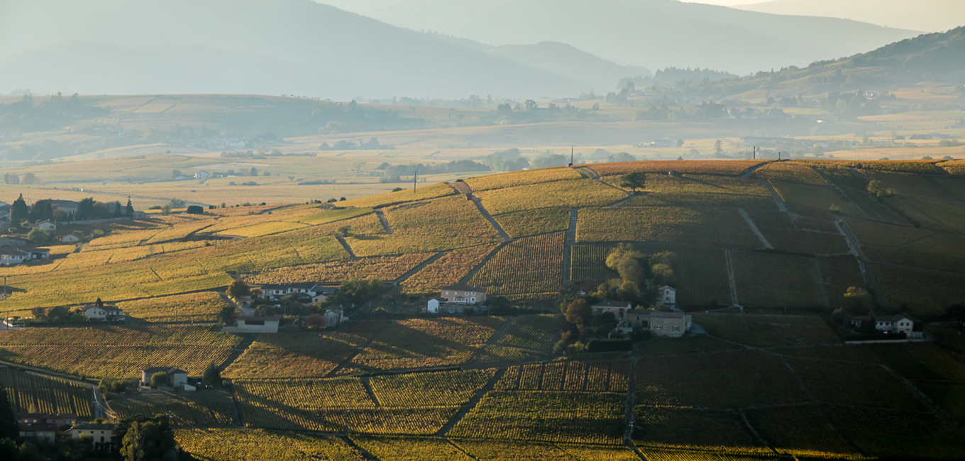 Evénements vins : les rendez-vous de la rentrée en Beaujolais